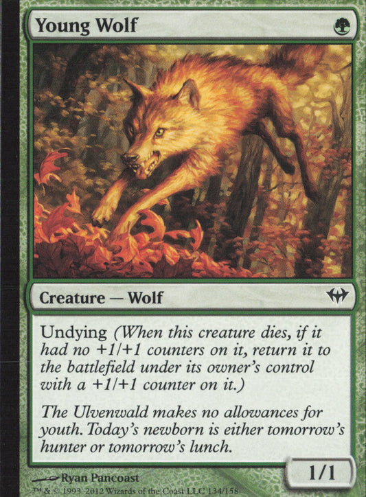 Young Wolf C Dark Ascension 134 NM